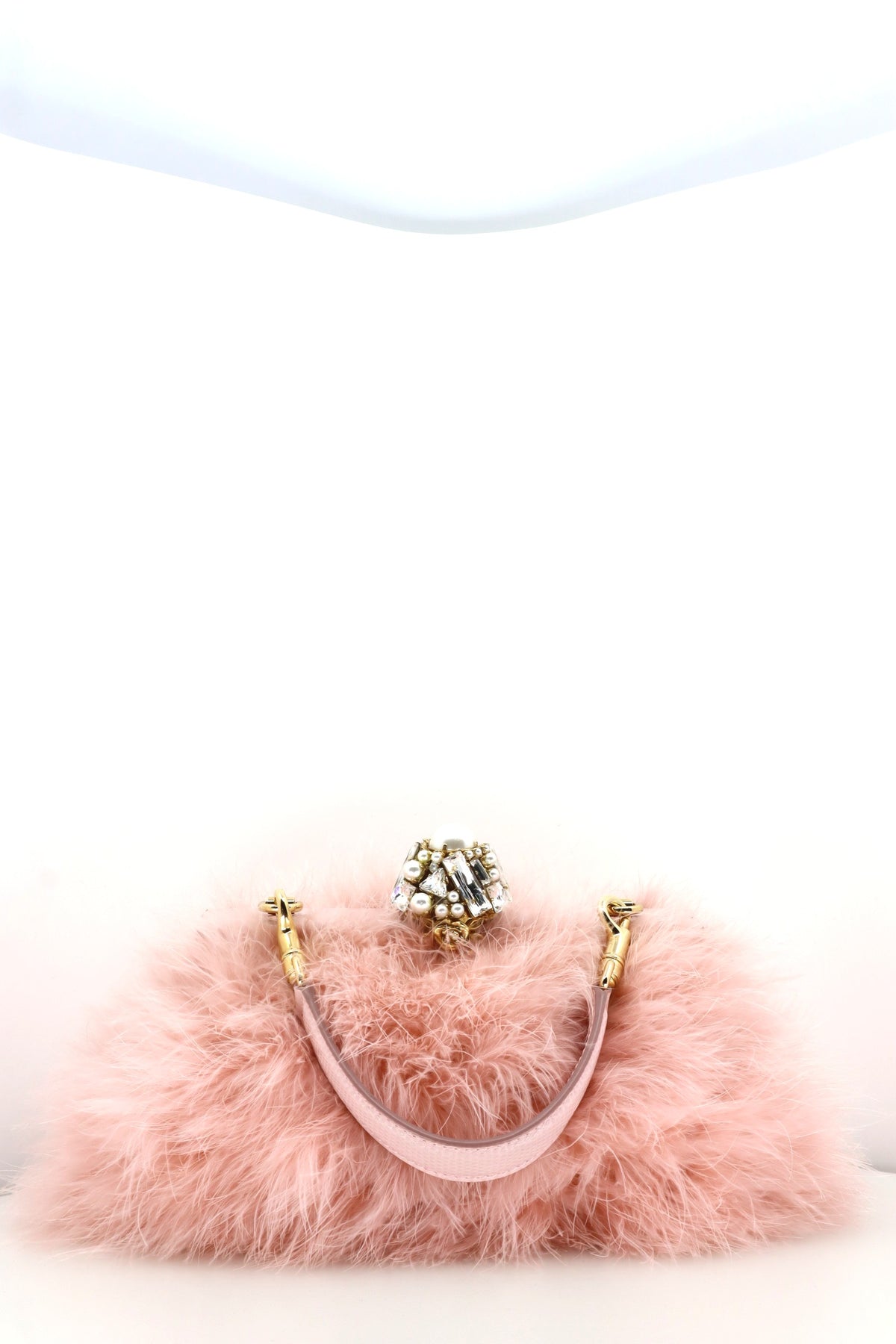 Dolce & Gabbana Tasche (2750€)